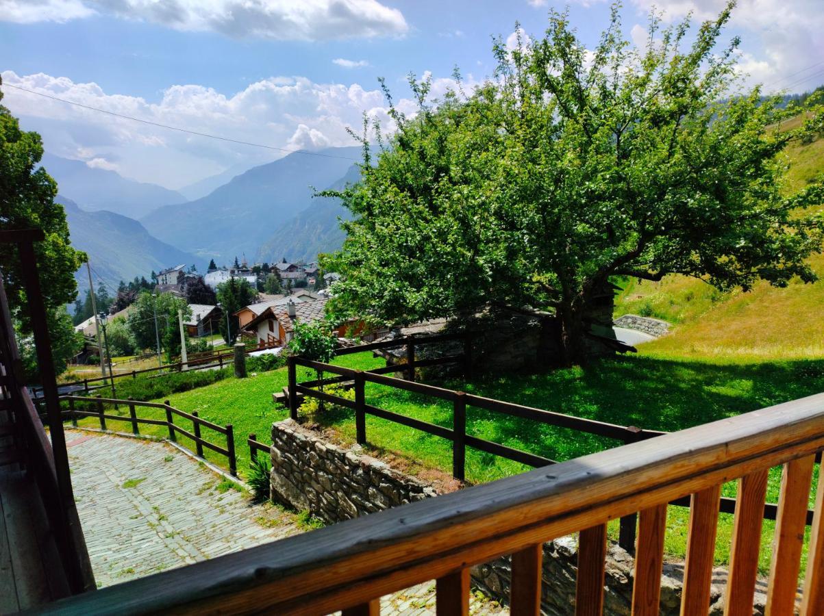 Chatrian 2 Cir-torgnon-0019